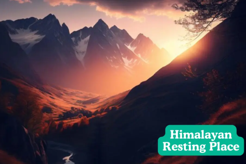 Himalayan Resting Place